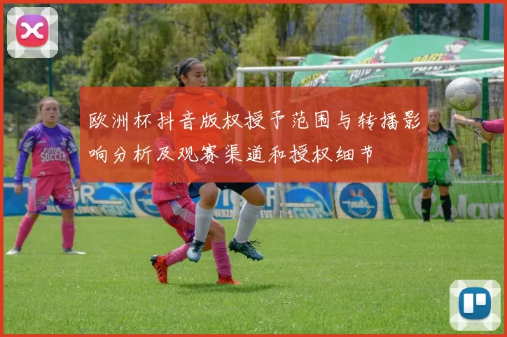 欧洲杯抖音版权授予范围与转播影响分析及观赛渠道和授权细节