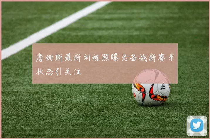 詹姆斯最新训练照曝光备战新赛季状态引关注