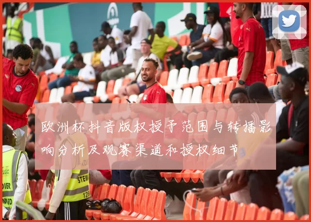 欧洲杯抖音版权授予范围与转播影响分析及观赛渠道和授权细节