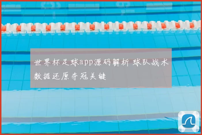 世界杯足球app源码解析 球队战术数据还原夺冠关键