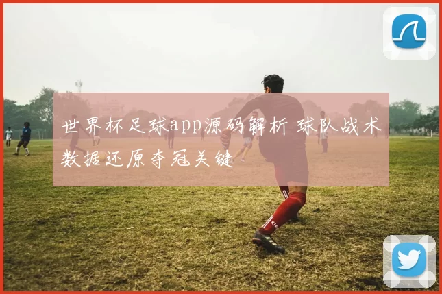 世界杯足球app源码解析 球队战术数据还原夺冠关键