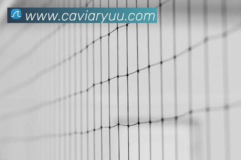 南宫注册入口(中国)官网入口全站App 南宫注册入口(中国)官网入口全站App